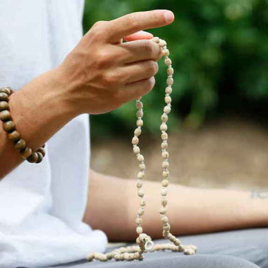 Retraite Bhagavad Gita, Bhakti Yoga & Vibrations sonores – Luberon(84) - lundi 02 Juin au dim 08 Juin 2025 - 400€ pension complete